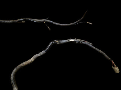 Wiring Harness 19911247C1 CASE 1120 1130 1140